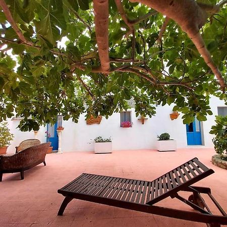 Trulli Pasquina Apartment Мартина Франка Екстериор снимка