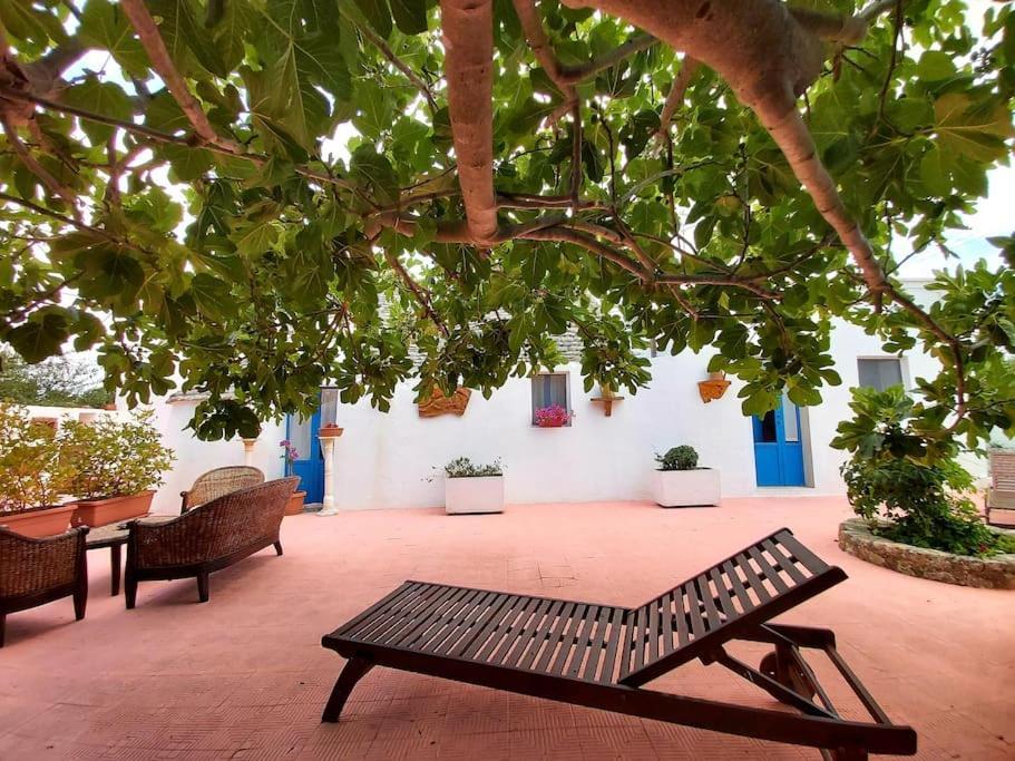 Trulli Pasquina Apartment Мартина Франка Екстериор снимка